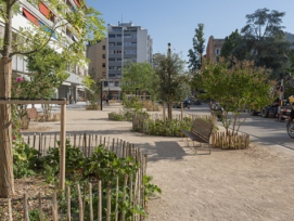 La création d’une nouvelle place piétonne, agrémentée d’une trentaine d’arbres fraîchement plantés, apporte une grande joie aux habitants de Genève.