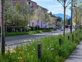 La Ville de Lausanne dépasse les attentes mais reste vigilante en ce qui concerne sa stratégie d'arborisation.