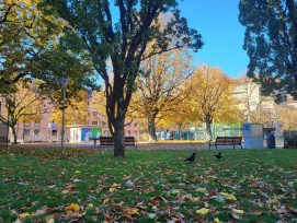 La Ville de Vevey veut faire de la place Robin un espace public attractif et vivant.