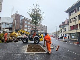 14 nouveaux arbres sont plantés ces jours à l'avenue de la Gare à Bulle.