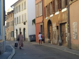 Un visage plus vert est au programme pour le quartier de la Valsainte à Vevey.