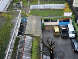 Nature en ville Genève