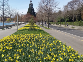 Les quais d’Ouchy totalement fleuris proposent aujourd’hui un nouveau visage au public et une avancée pour le climat.