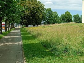 Une prairie fribourgeoise riche en biodiversité en milieu bâti illustre la tendance actuelle.