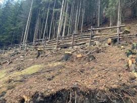 L’ouvrage de protection contre les chutes de pierres, composé d’éléments en bois près du Gruobenwald, à l’extérieur de Klosters, a été démonté entre-temps.