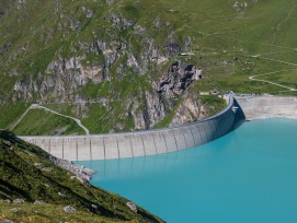 Gougra 1