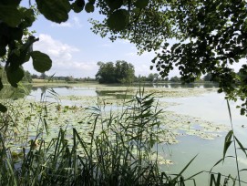 L’île du lac d’Inkwil est un site archéologique d’importance nationale et internationale.