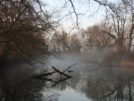 Vieille Thielle