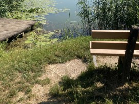 La grande île du lac d’Inkwil est un site archéologique d’importance internationale.
