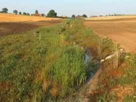 Biodiversité VD 2