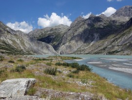 Le recul des glaciers donne naissance à de nouveaux paysages : sur la rive sud du lac Trift, le glacier a créé un paysage morainique vallonné riche en matériaux fins et une grande plaine alluviale.