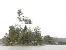 En octobre 2025, des travaux de défrichement ont été réalisés à l’aide d’un hélicoptère et les sous-bois nettoyés en vue des mesures de protection sur l’île du lac d’Inkwil.