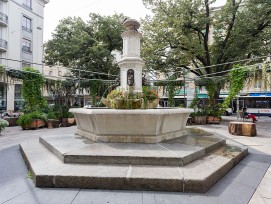 Des arbres dangereux sont destinés à être abattus à la place de la Navigation et dans d’autres secteurs de la ville de Genève