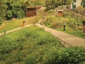 Stratégie végétalisation Nyon