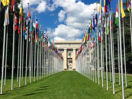 Portail des Nations 2