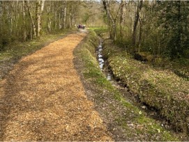 La piste de galop de Jussy, au cœur de la forêt genevoise, respecte le milieu forestier.