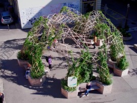 Retour d’expérience sur un aménagement végétalisé transitoire : Place au frais