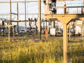 La sous‑station SBB Energie de Bussigny développe des habitats favorables à la biodiversité.