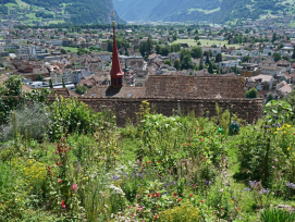 Patrimoine suisse décerne le prix Shulthess des jardins 2026 à l'association kulturkloster altdorf.