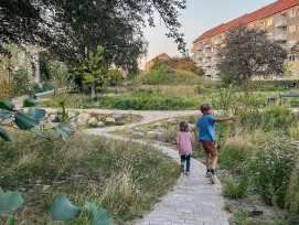 Paysages naturels, noues végétalisées et arbres locaux composent ce nouveau parc climatique de Copenhague.