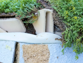 Composition du prototype installé sur la couverture en coque mince en béton : de bas en haut, pare‑vapeur (non visible), 20 cm d’isolation en mycélium, tuiles en grès imprimées en 3D, substrat, puis végétation. Remarque : dans cet exemple, le mycélium n’a
