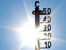 La pétition appelle à garantir une protection efficace contre la chaleur, à assurer des délais réalistes et à maintenir des chantiers sûrs face au changement climatique.
