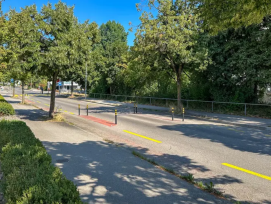 La rue de la Léchère accueillera 68 nouveaux arbres dans le cadre de son réaménagement.