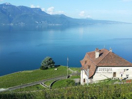 Vrai balcon sur le Léman, le domaine des Faverges — propriété du canton de Fribourg — doit être complètement transformé pour valoriser sa production.