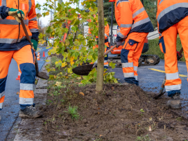 La Ville poursuit sa stratégie de végétalisation afin d'accroître les zones d'ombre et d'adapter le territoire au changement climatique.