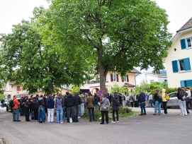 Arbres Bienne
