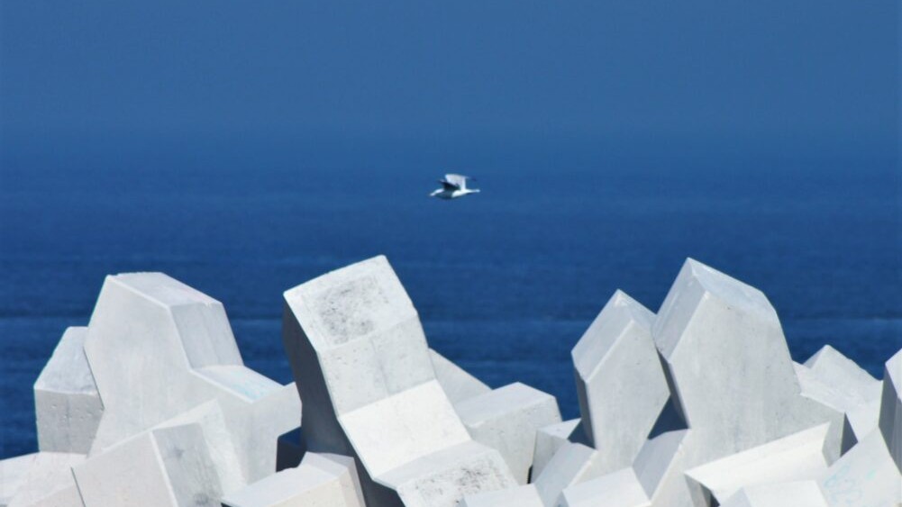 Les XBlocs sont les premiers remparts de la digue face à la houle et aux tempêtes.