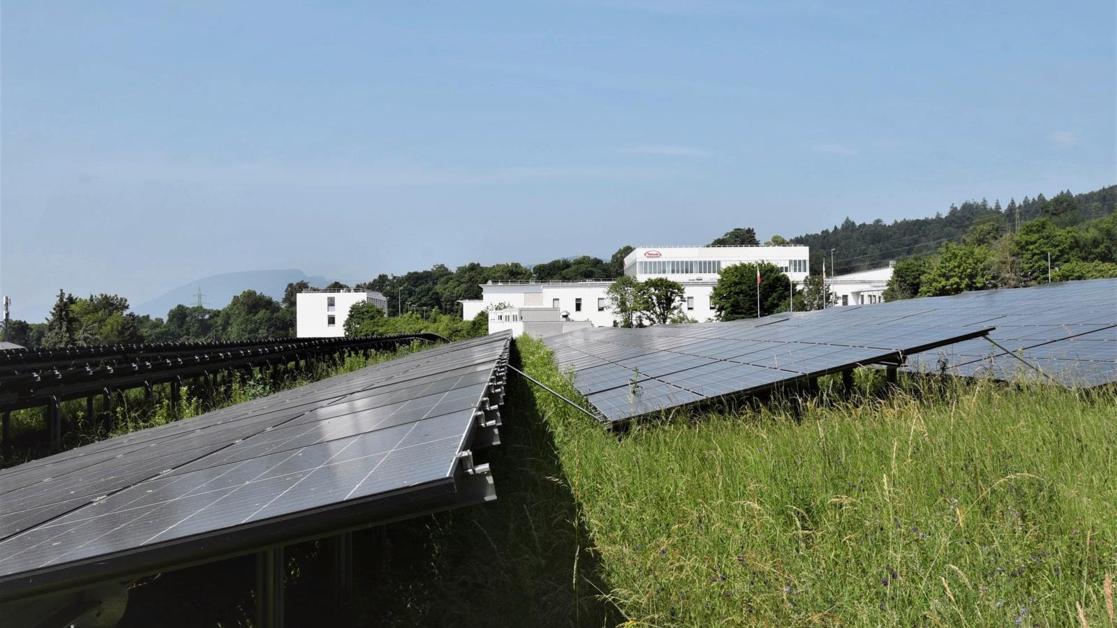 PV CSEM 6